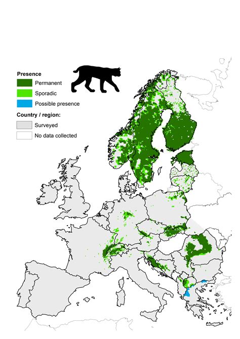 wikipedia lynx|lynx territory map.